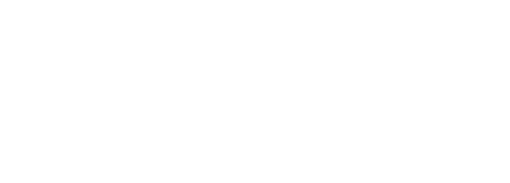 Allianz für die Region