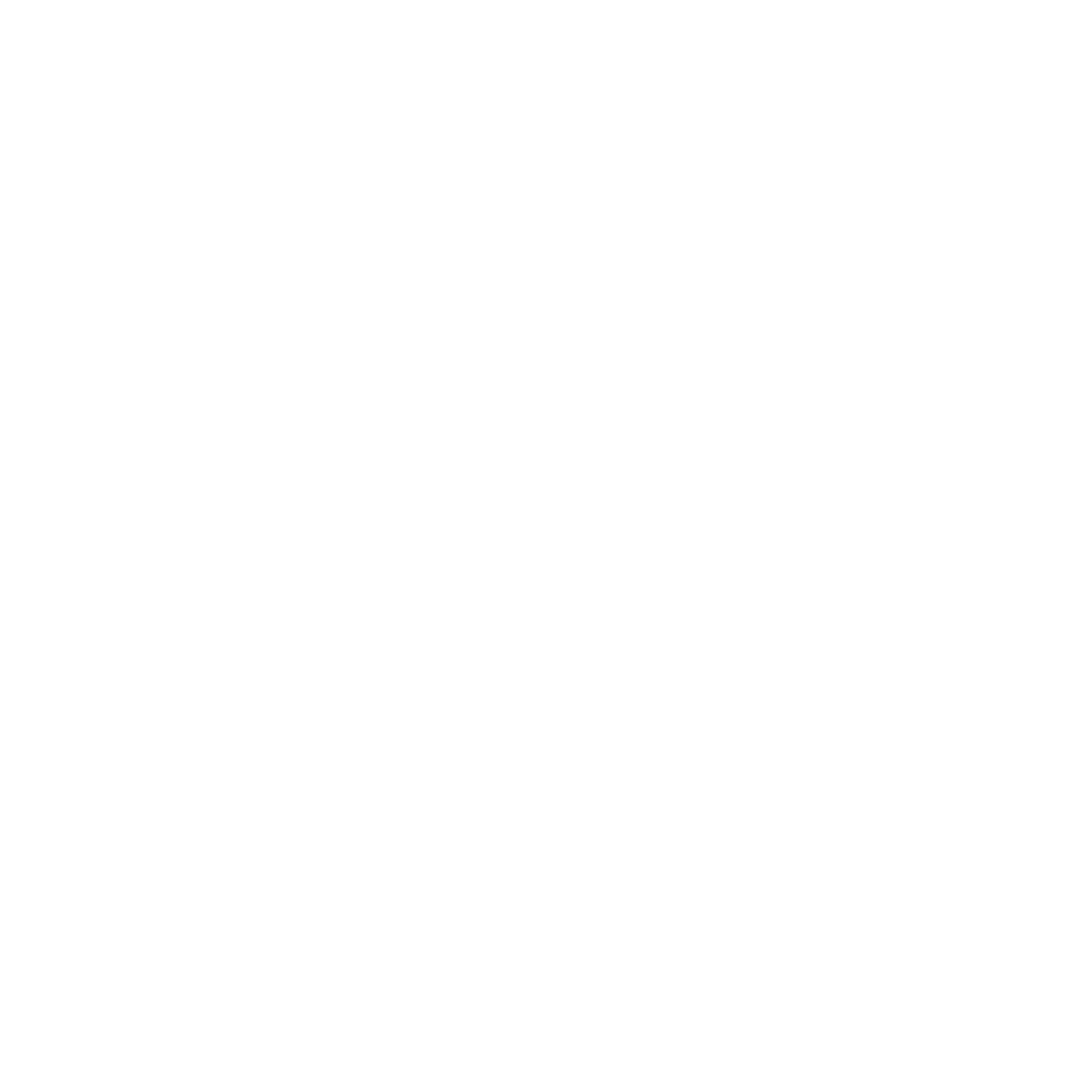 DLR