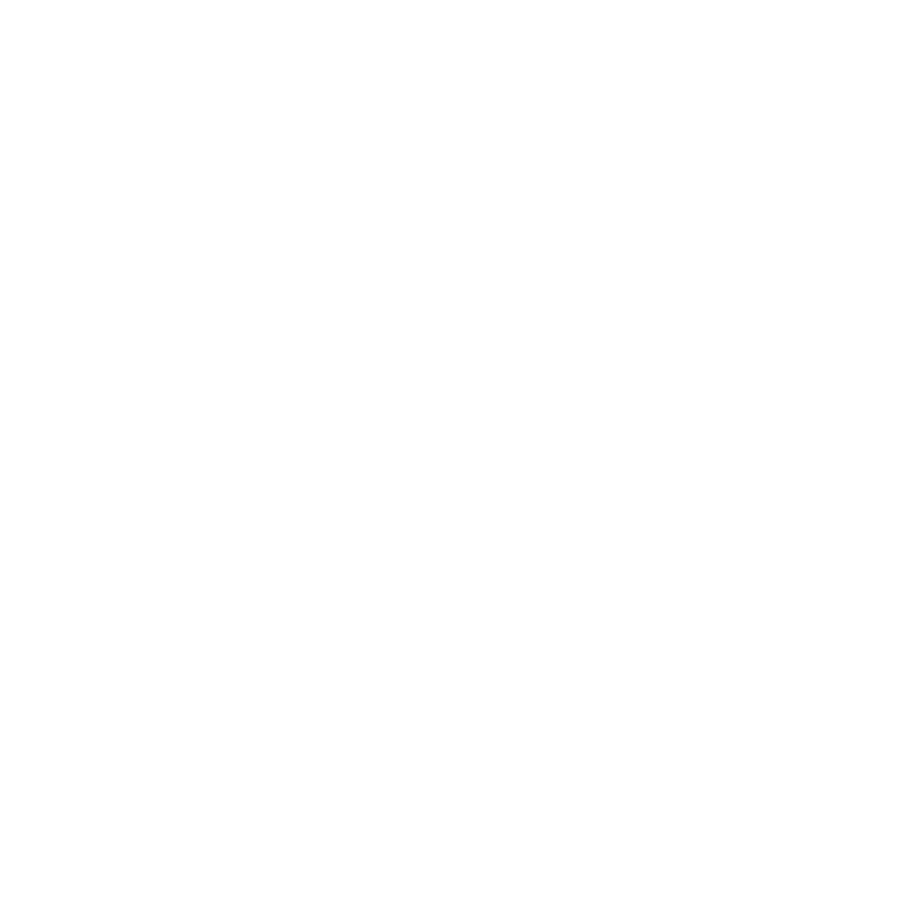 SOLVIS